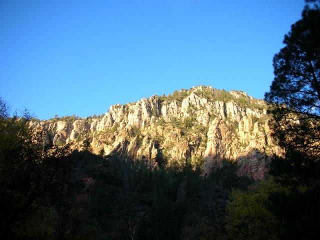 DSCN4706